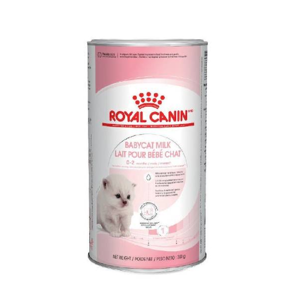 شیر خشک بچه گربه (کیتن) رویال کنین _ Royal Canin Babycat Milk